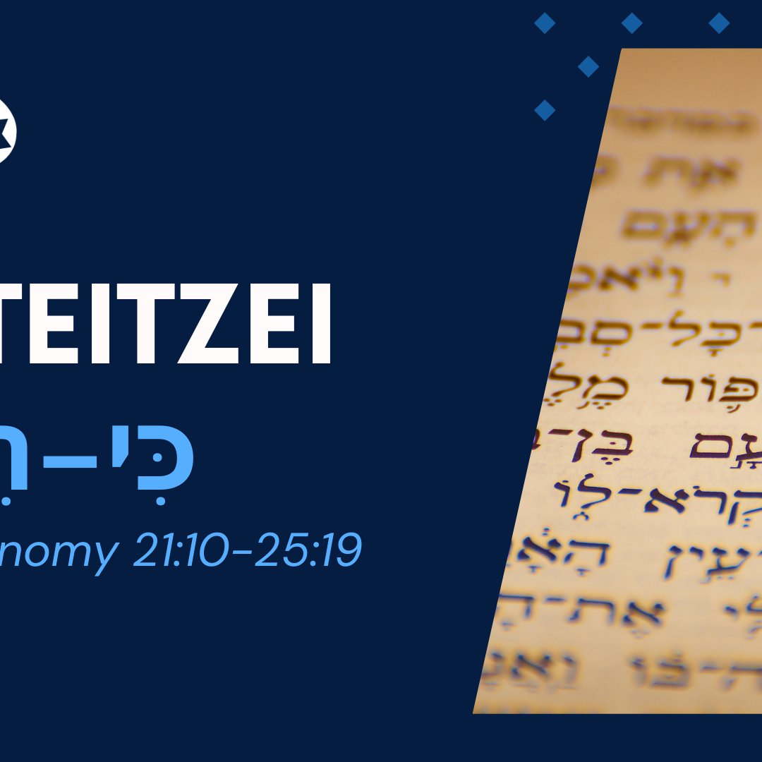 CMC Parasha Ki Teitzei 5785