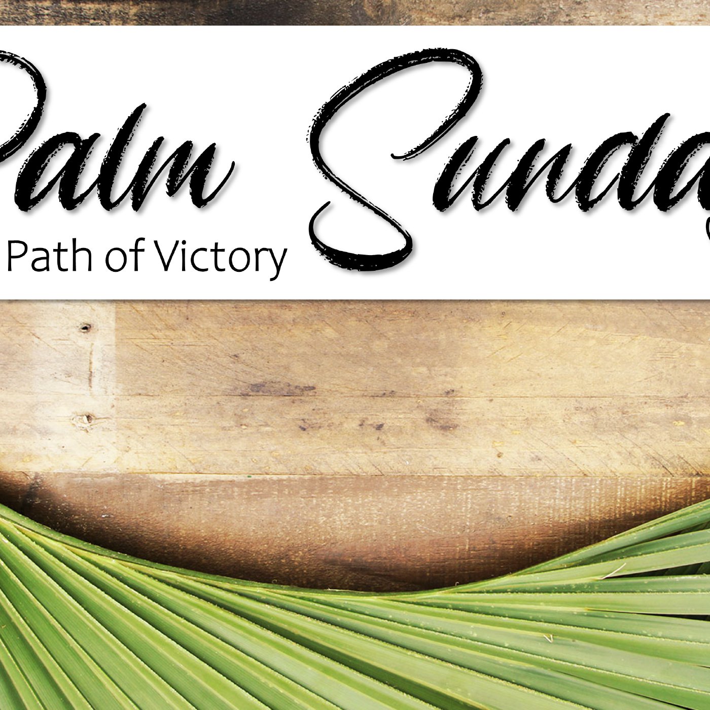Palm Sunday: The Path of Victory episode artwork