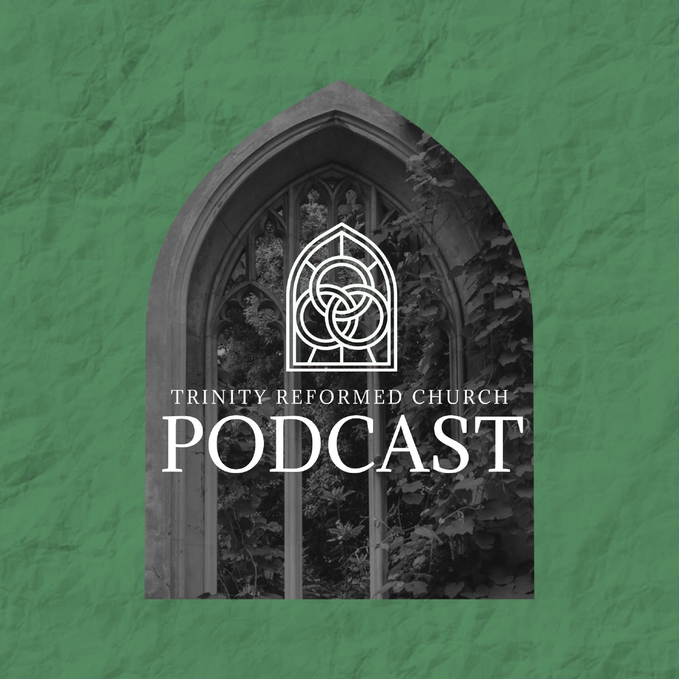 Heaven Coming to Earth (Part 8) | Sunday School by Stewart Jordan episode artwork