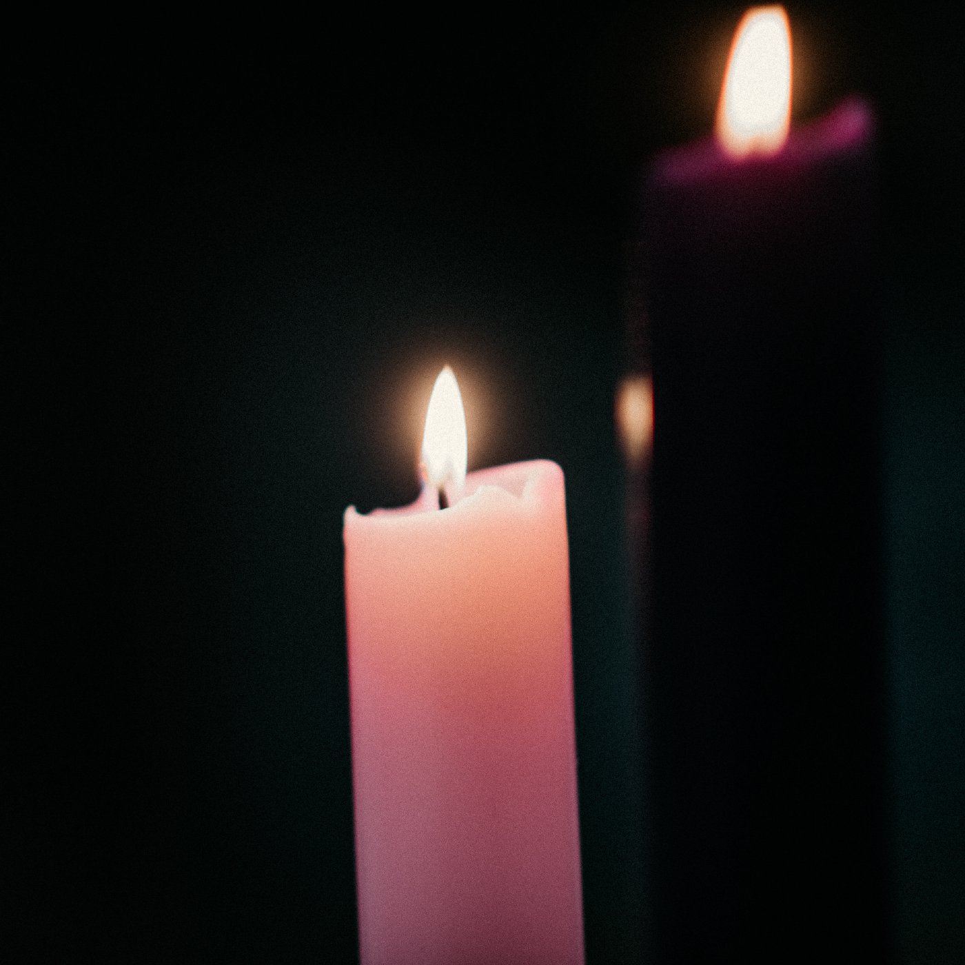 The Hope of Homecoming The Hope of Homecoming