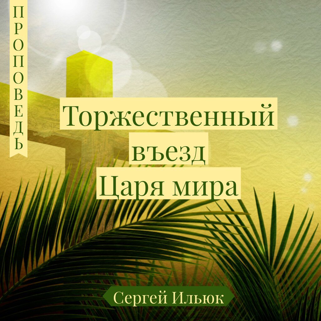 Торжественный вьезд Царя мира episode artwork