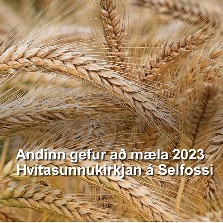Selfossgospel