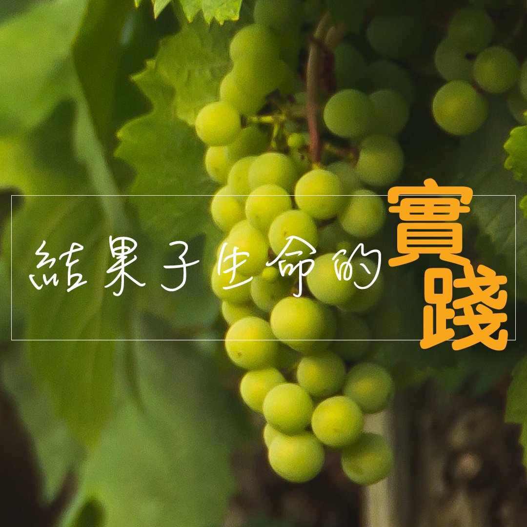 結果子生命的實踐 episode artwork