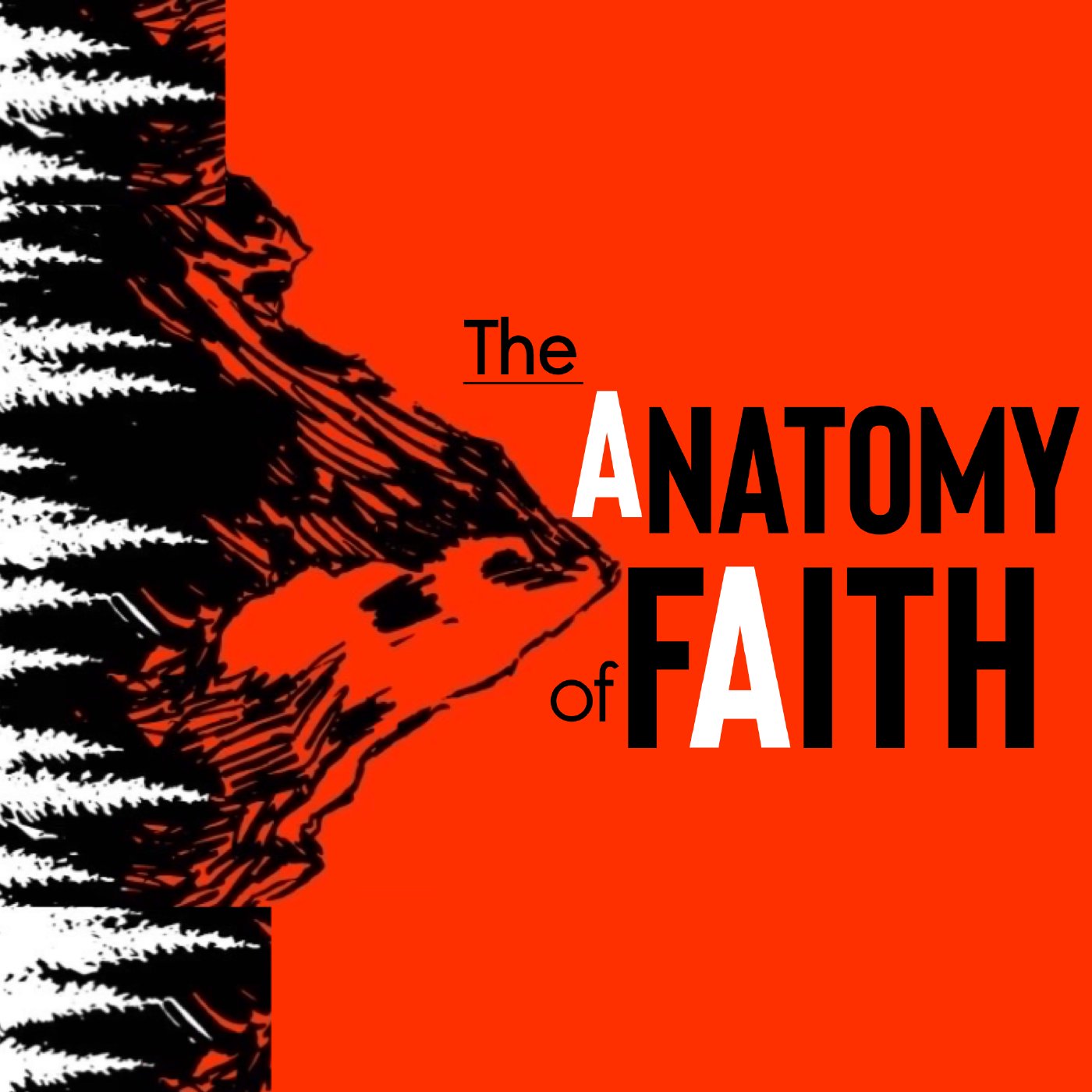 THE ANATOMY OF FAITH   1/16/22 episode artwork