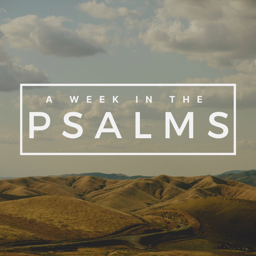 A Week in the Psalms | Psalm 30
