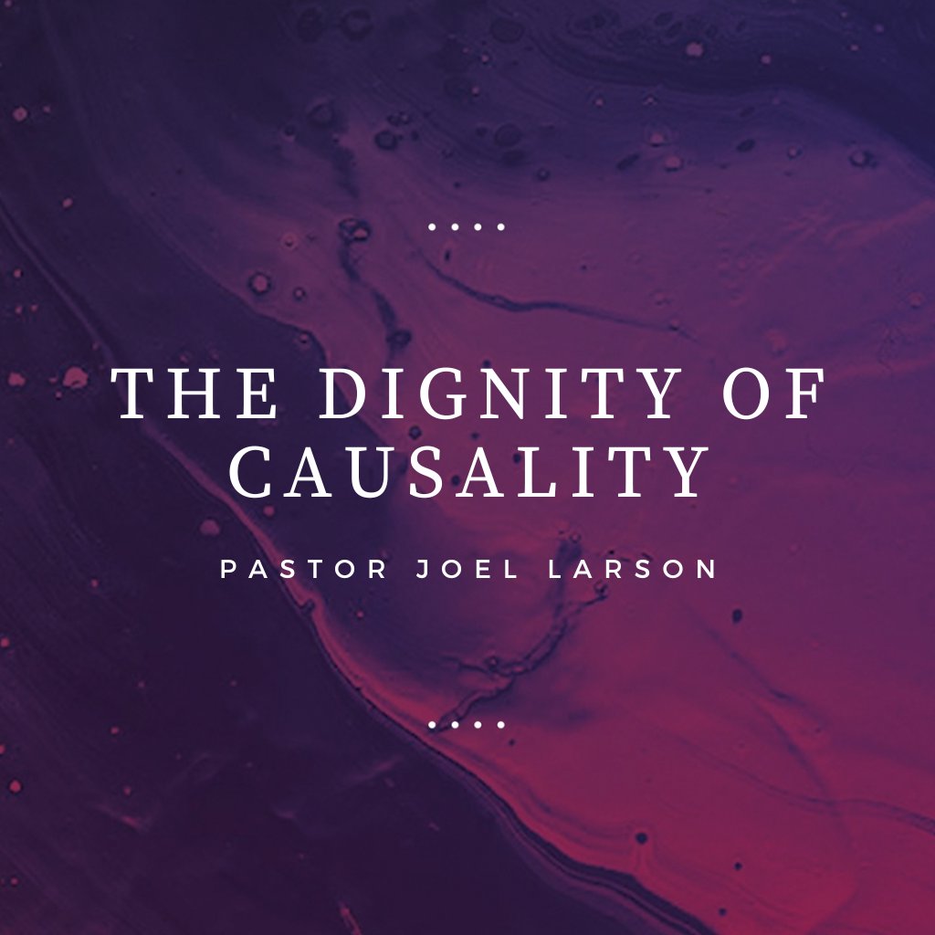 The Dignity of Causality episode artwork