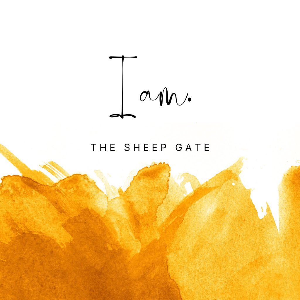 I AM... the Sheep Gate episode artwork