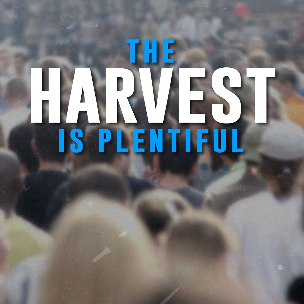 The Harvest is Plentiful episode artwork