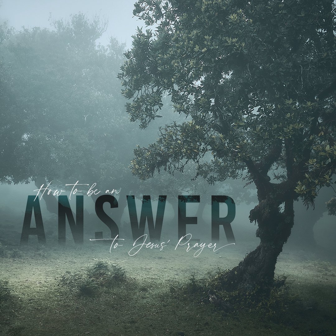 It's All About Who You Know and What You Do episode artwork