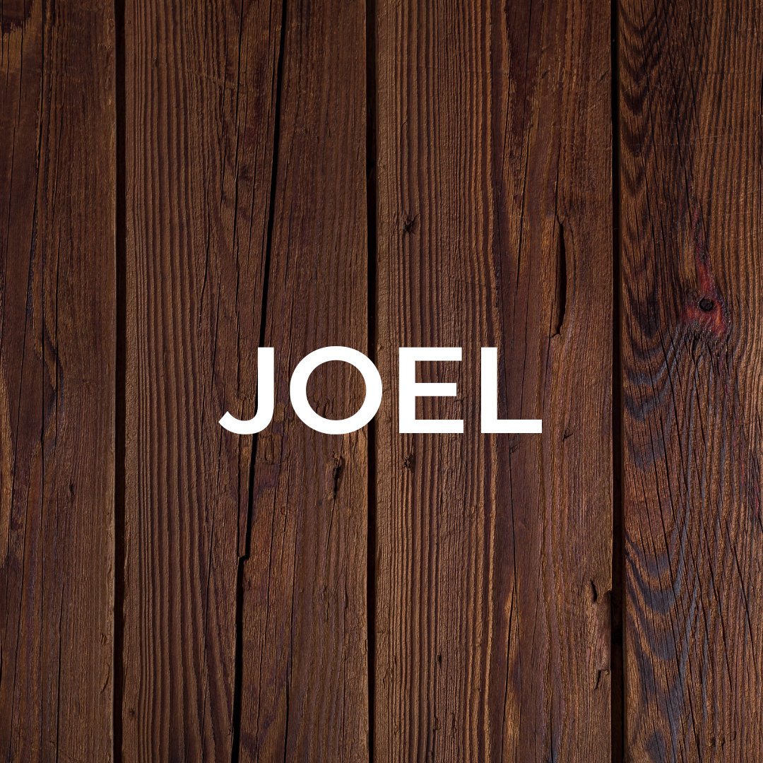 Joel 1-3 episode artwork