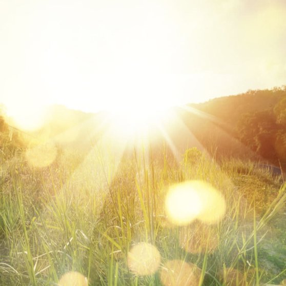 Special Episode | Springboard of Hope