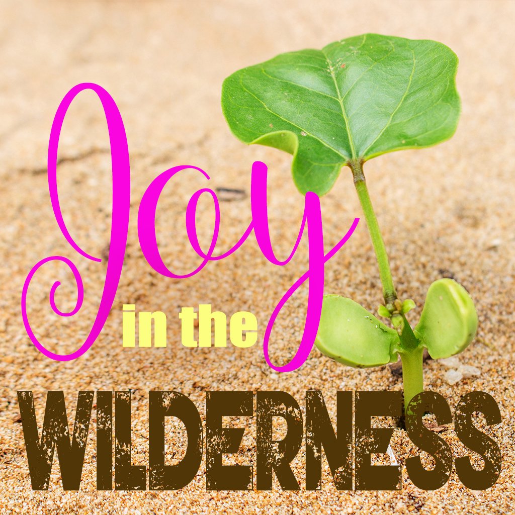 Finding Joy in the Wilderness! episode artwork