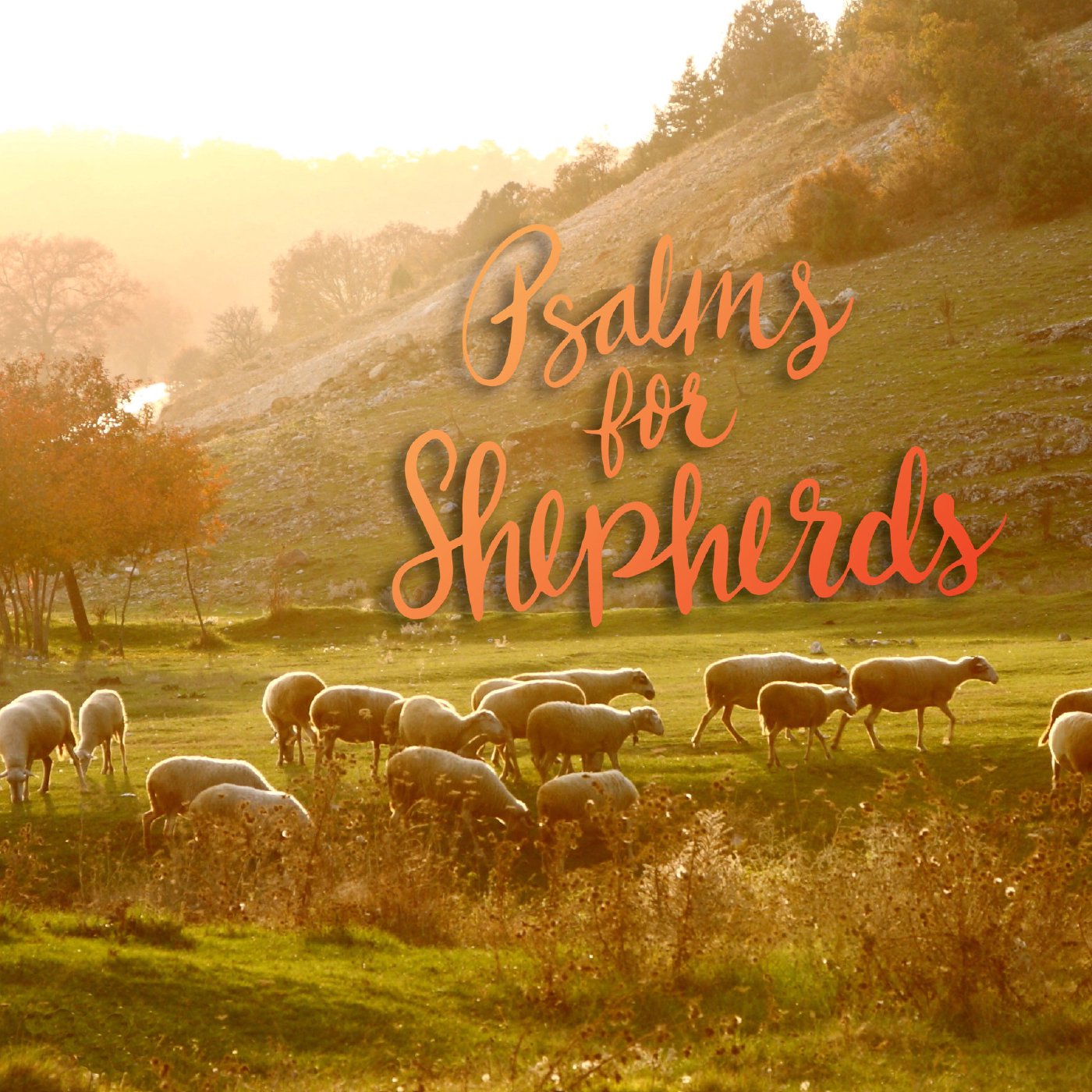 Psalms for Shepherds