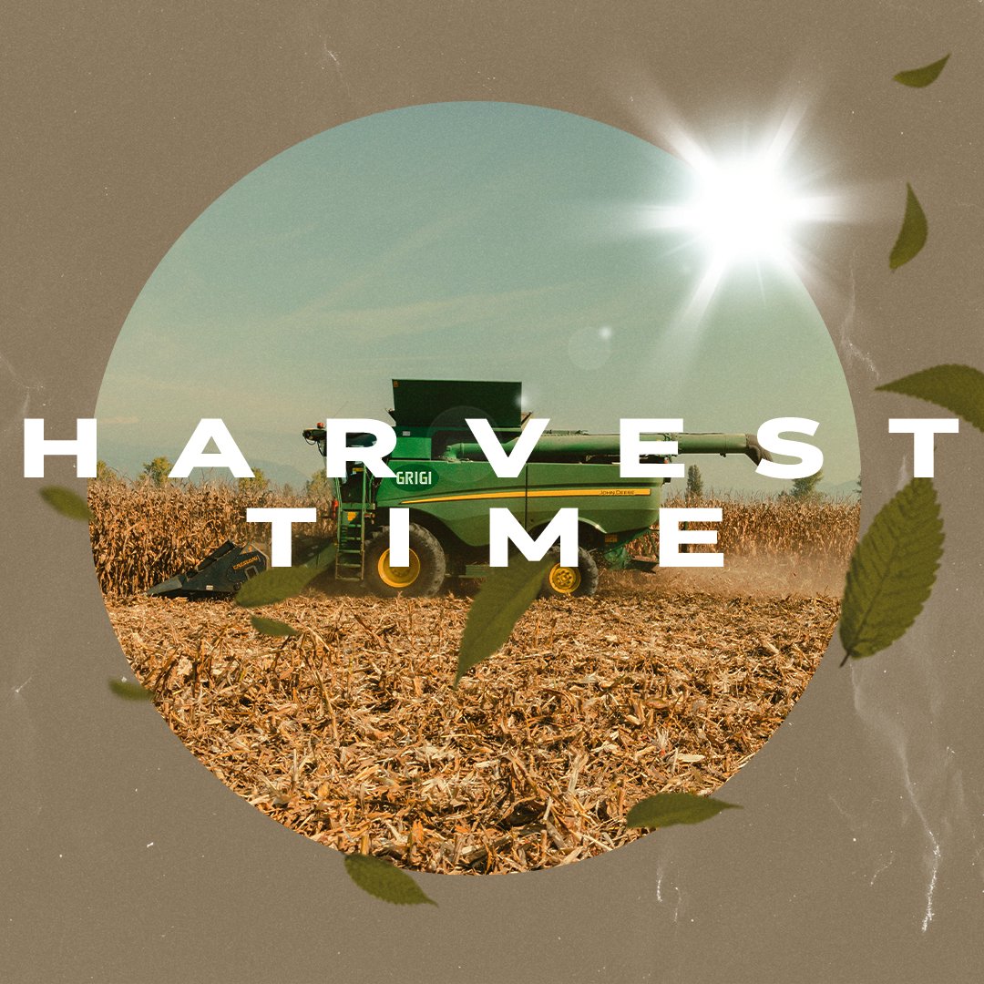 Harvest Time episode artwork