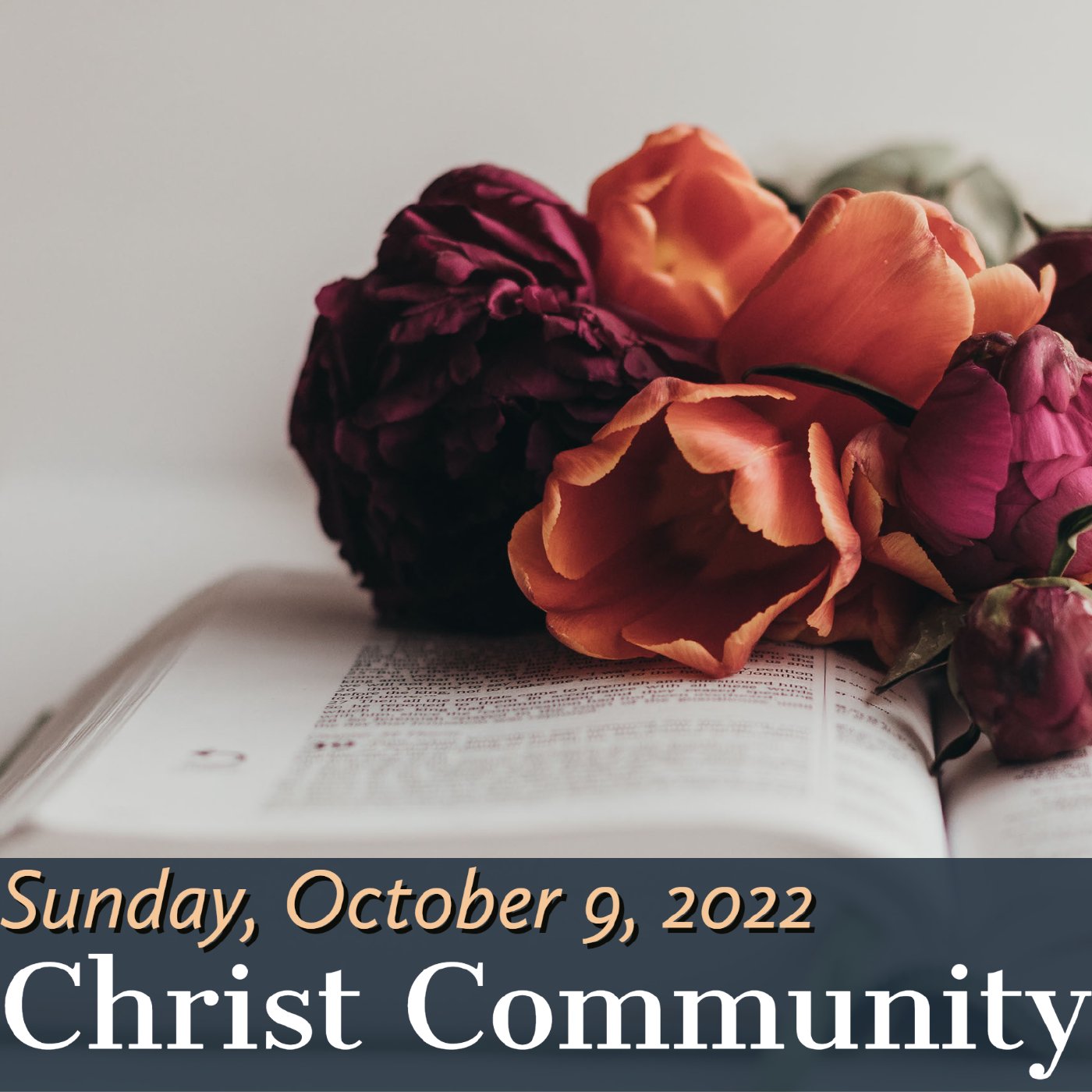 Christ Community Gainesville