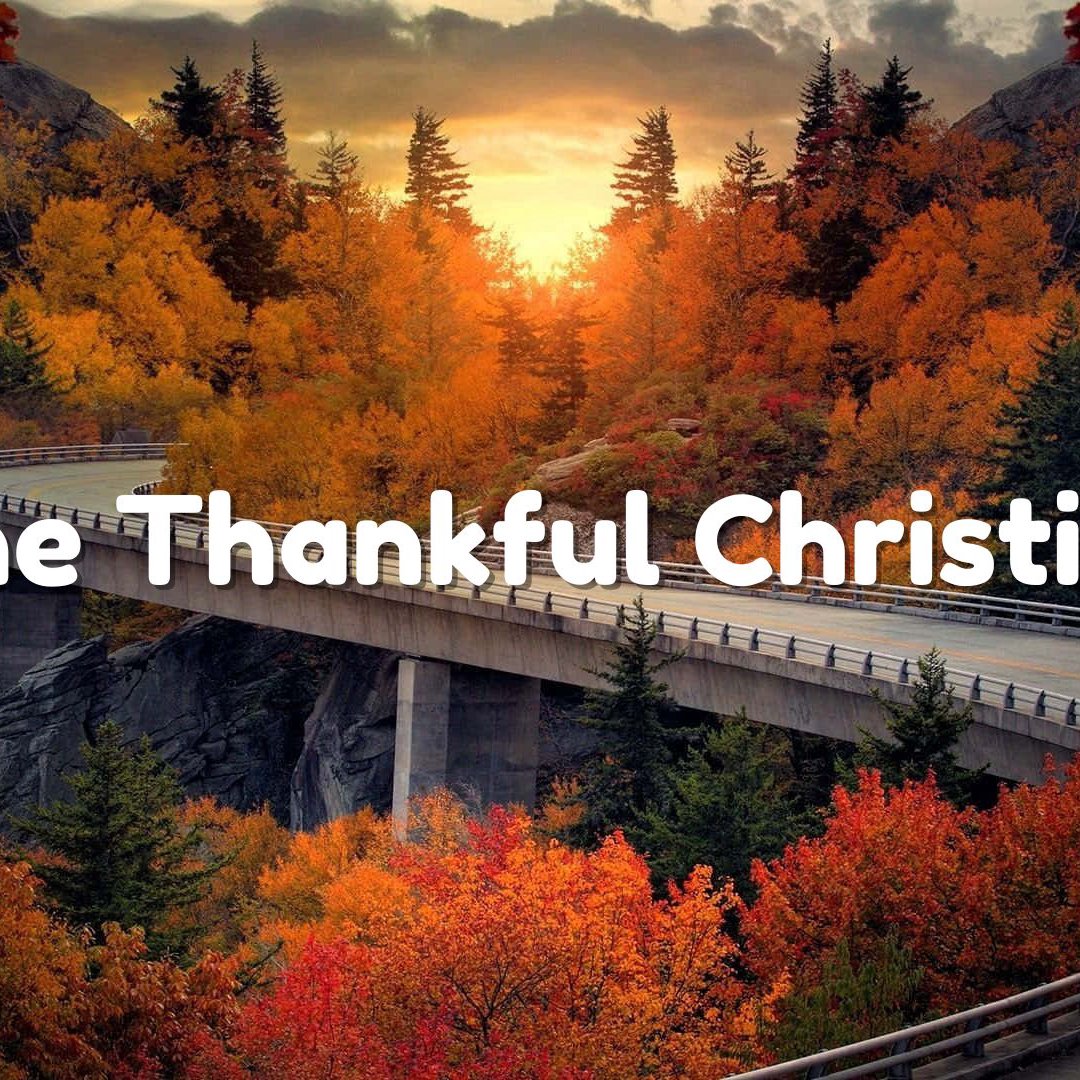 The Thankful Christian | Part 1 | Radiant Church Live episode artwork