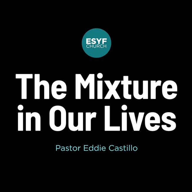 The Mixture in Our Lives The Mixture in Our Lives