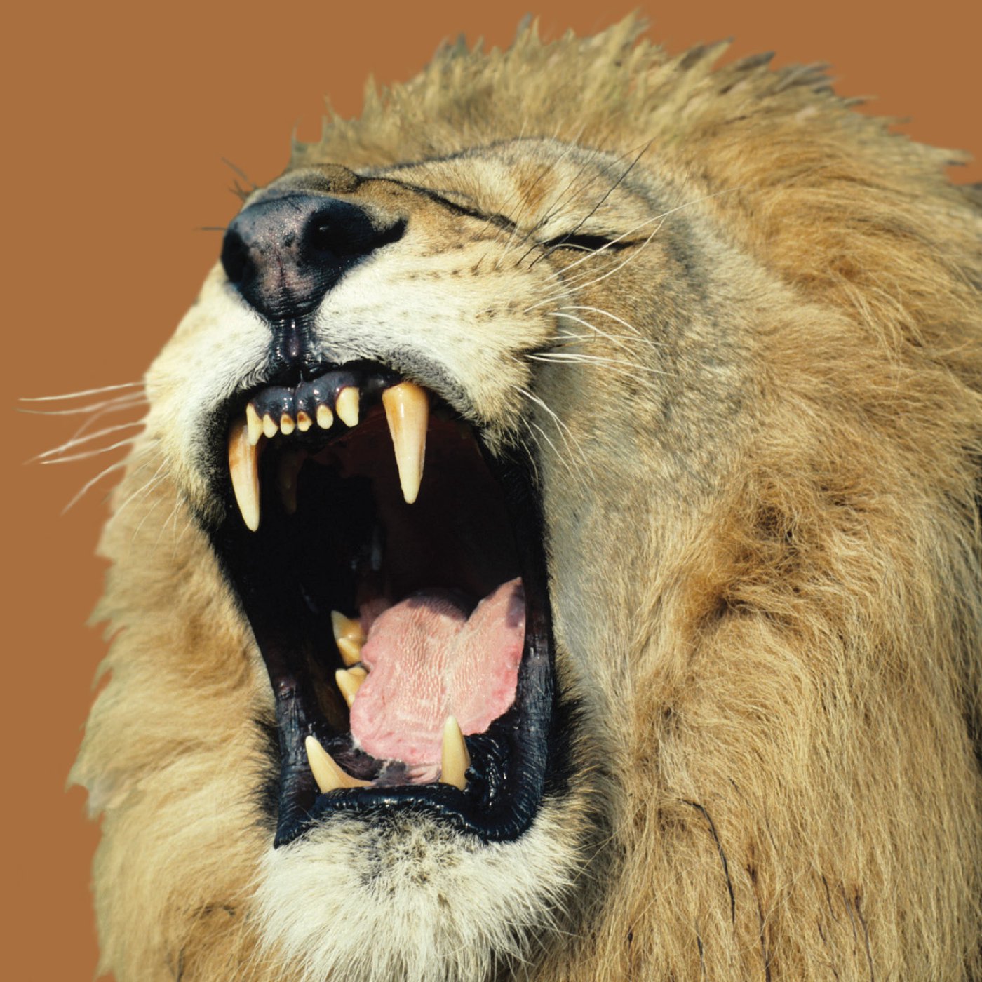 Destiny Live Messages with Pastor Keith O\'Neal