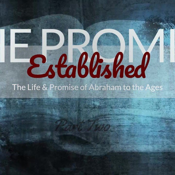 Established episode artwork