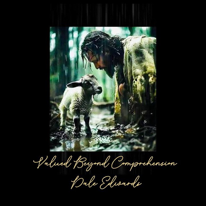 Valued Beyond Comprehension episode artwork