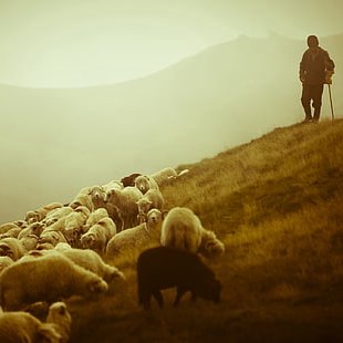 I Am the Good Shepherd episode artwork