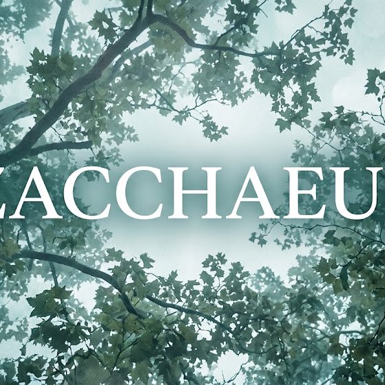 Sunday Sermon - Jesus and Zacchaeus episode artwork