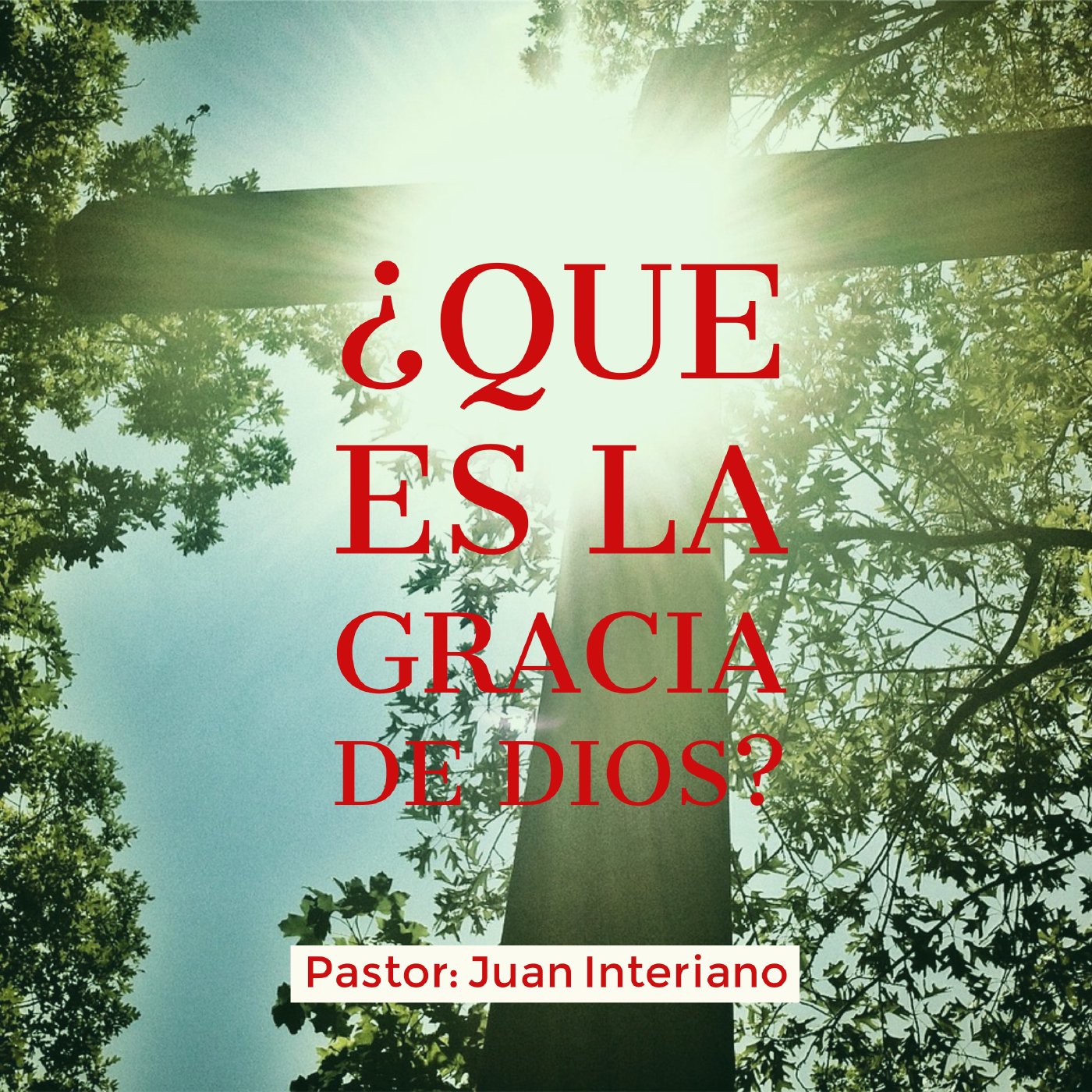 Iglesia Pentecostal Camino A La Vida Eterna