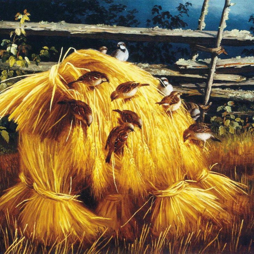 St. Paul\'s Lockport Sermons