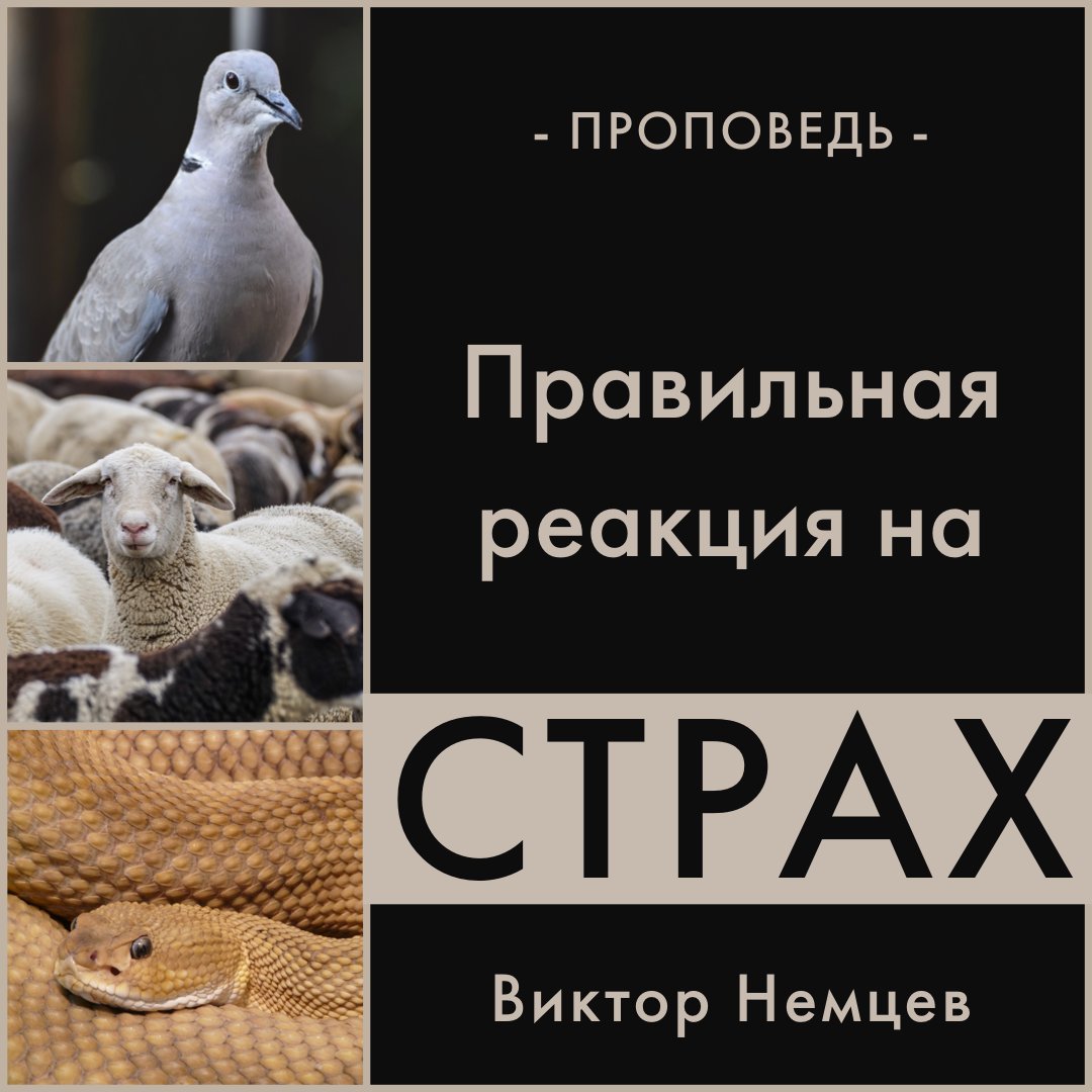 Правильная реакия на страх — Виктор С. Немцев episode artwork