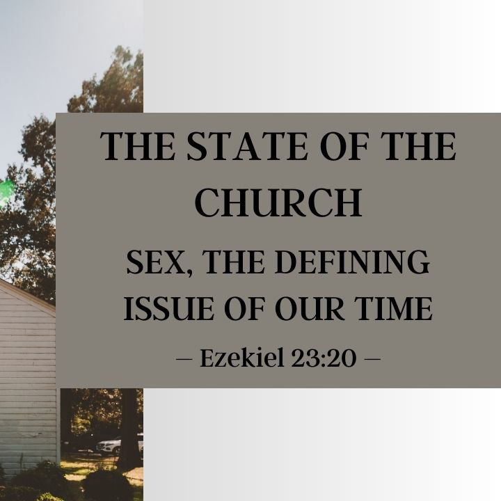 Sex, the Defining Issue of Our Time | The State of the Church 2014 episode artwork