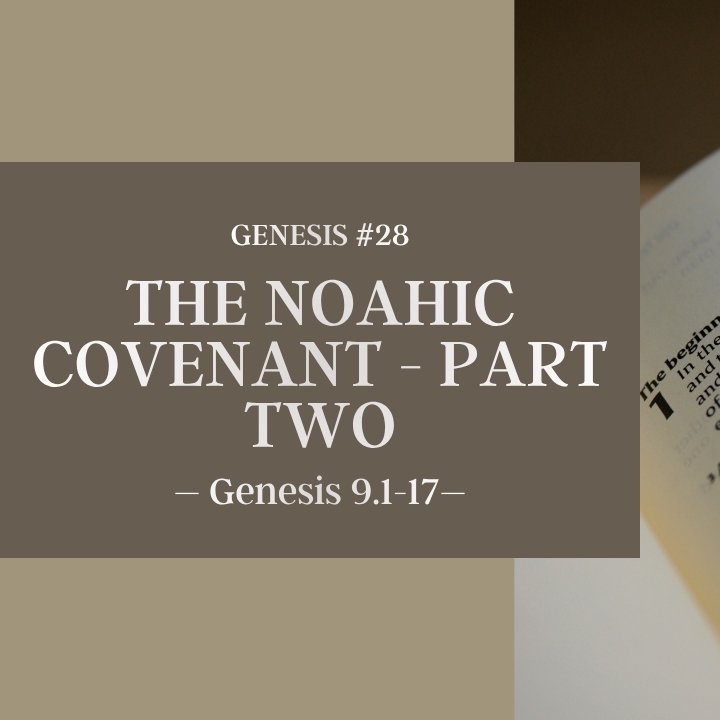 The Noahic Covenant - Part Two | Genesis #28 episode artwork