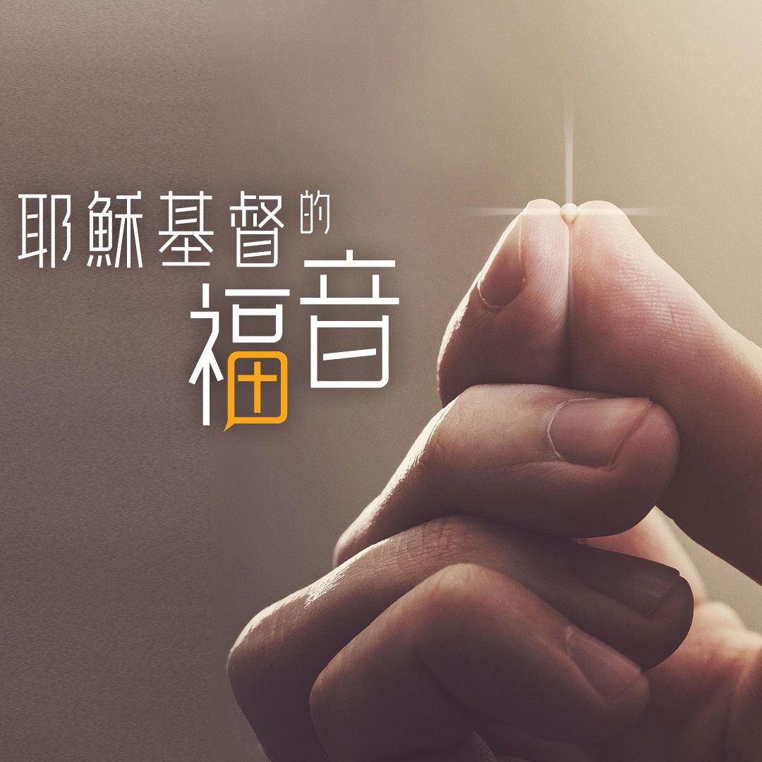 四種生命