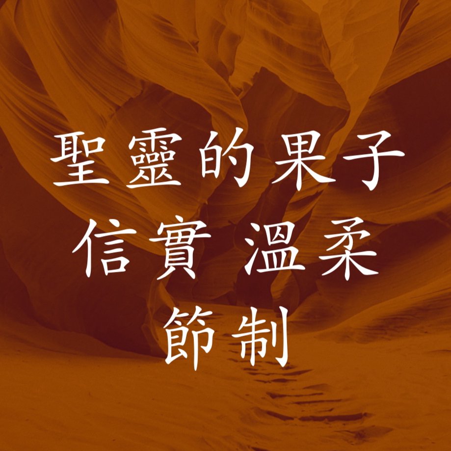 聖靈的果子：信實，溫柔，節制 episode artwork