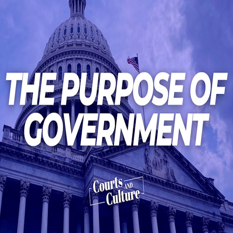 The Purpose Of Government episode artwork