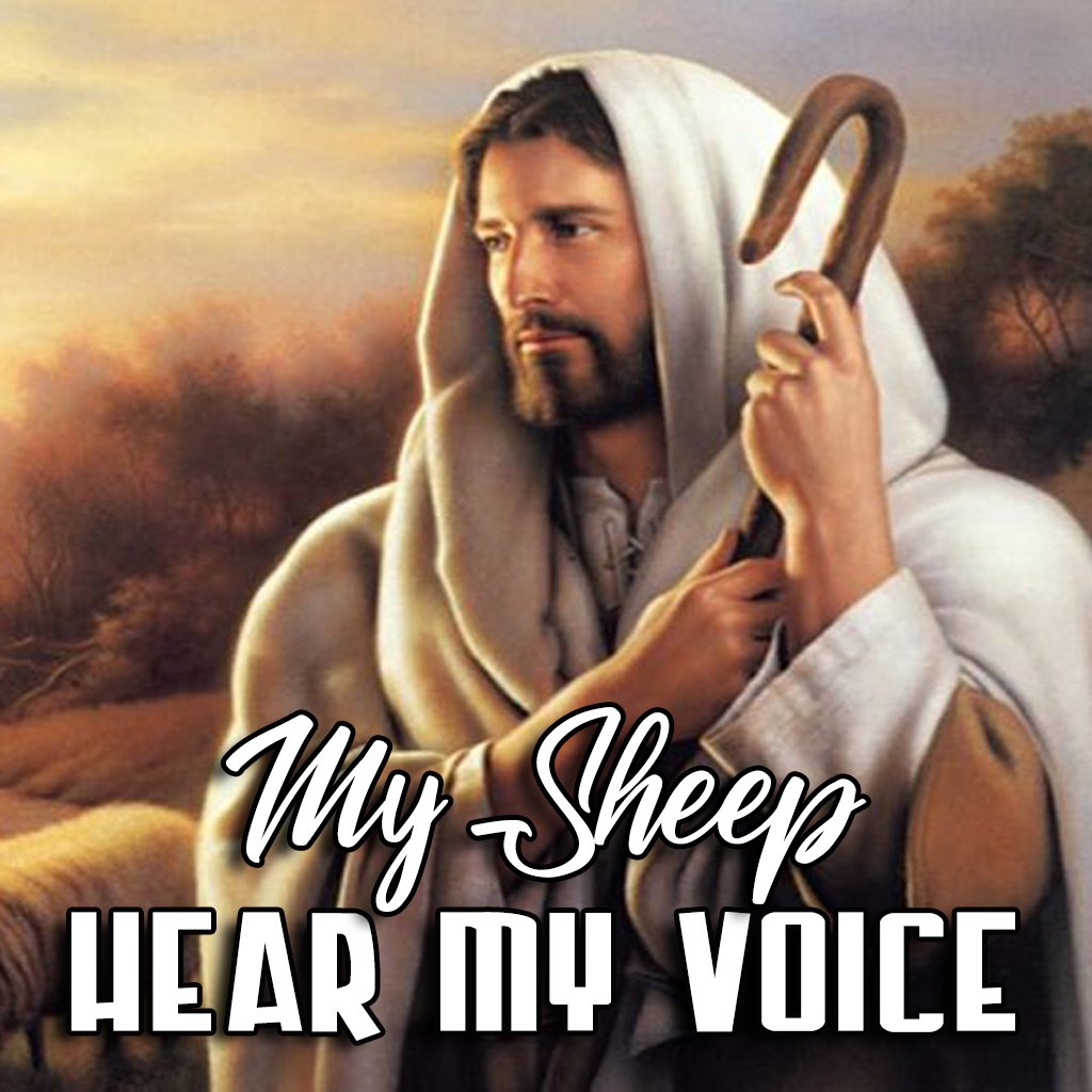 MY SHEEP HEAR MY VOICE -  PART 11