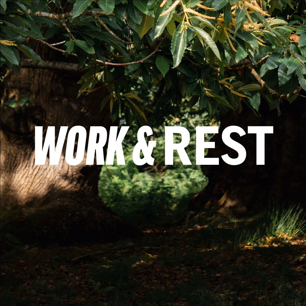Work & Rest
