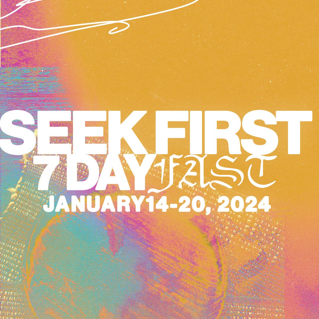 SEEK FIRST episode artwork