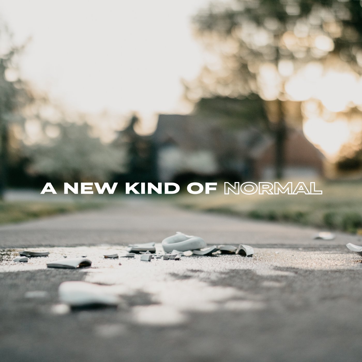 A New Kind of Normal - Week 2