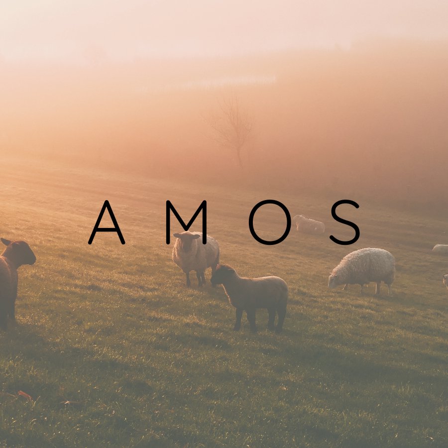 Amos 5-9 episode artwork