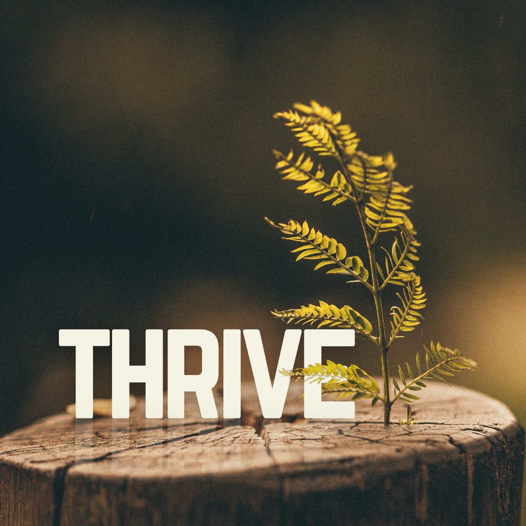 Thrive | Thriving in Commitment | 1 Thessalonians 2:17-3:13 | Keith Adams | April 21, 2024 episode artwork