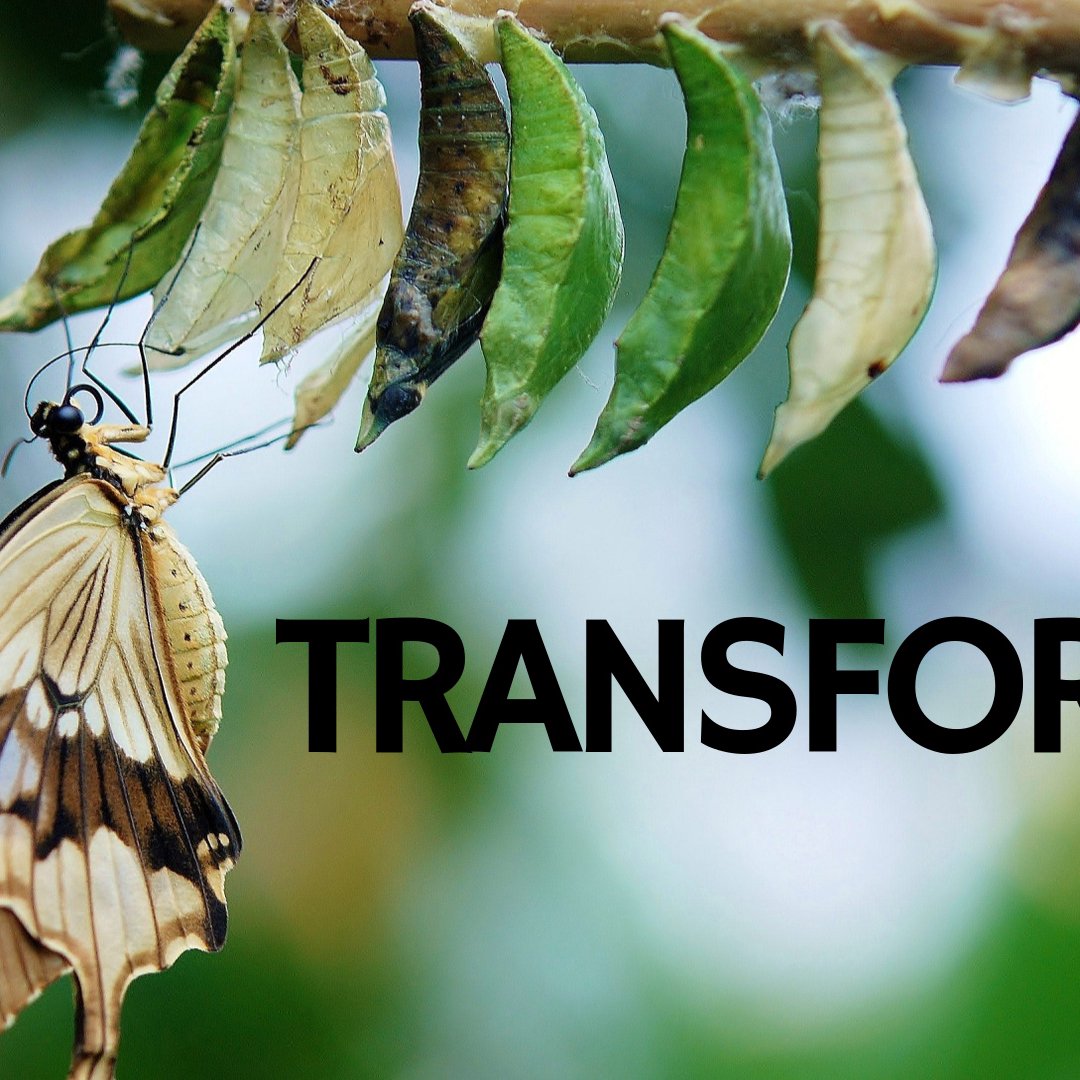 Transform SERIES - Week Three episode artwork