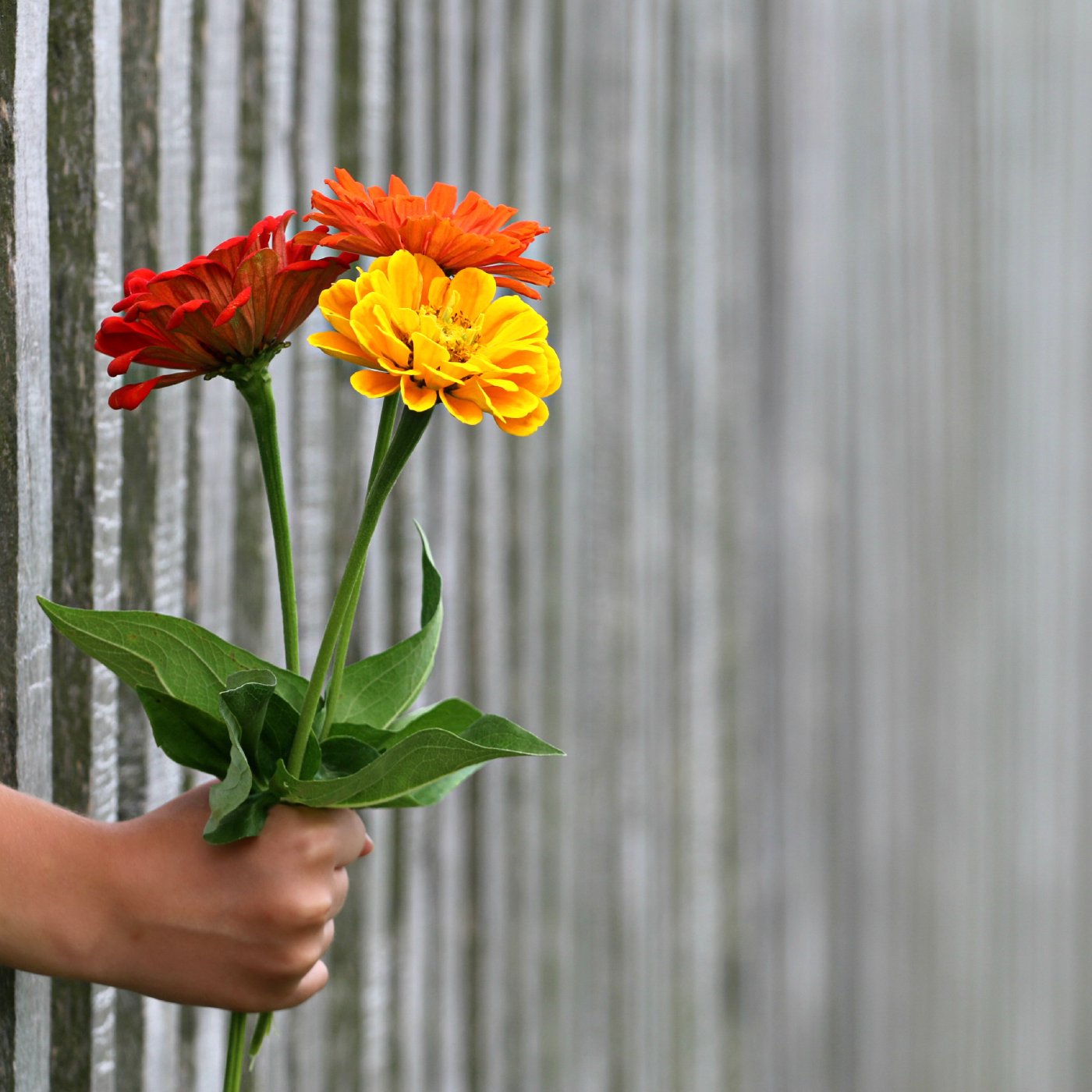 The Power of a Mother's Faith (Full Service)