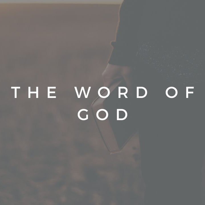 The WORD of God thumbnail