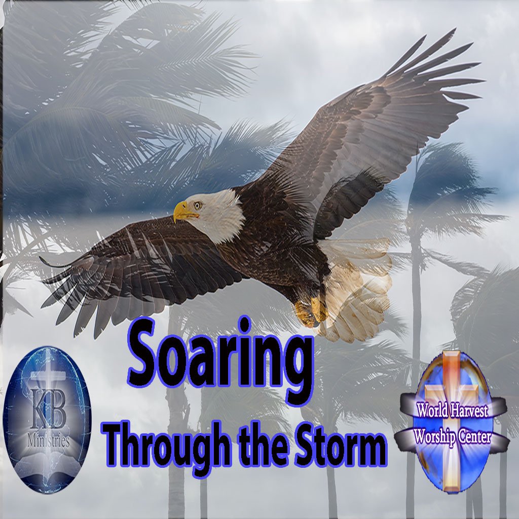 Soaring Through The Storm Soaring Through The Storm