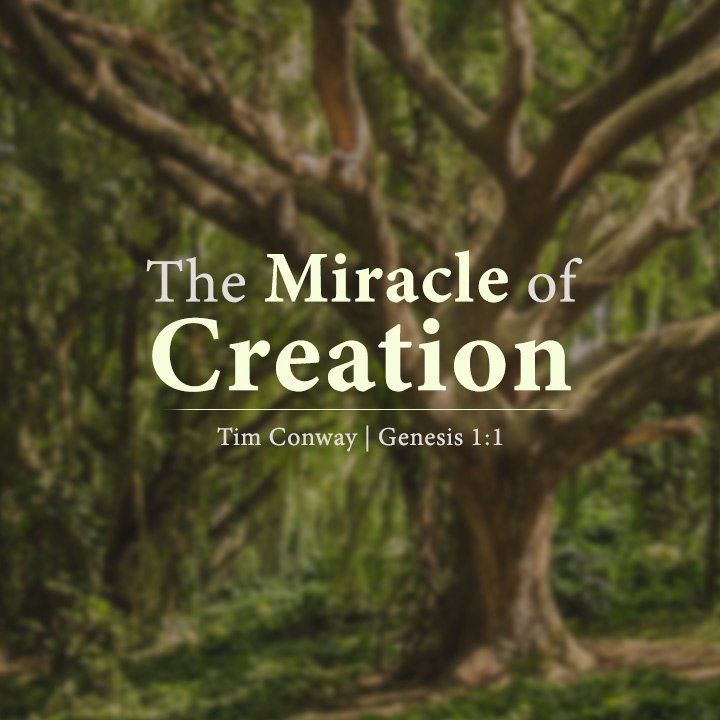 The Miracle of Creation (Genesis 1:1) episode artwork