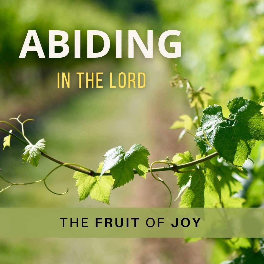 Abiding in the LORD - The Fruit of Joy Abiding in the LORD - The Fruit of Joy