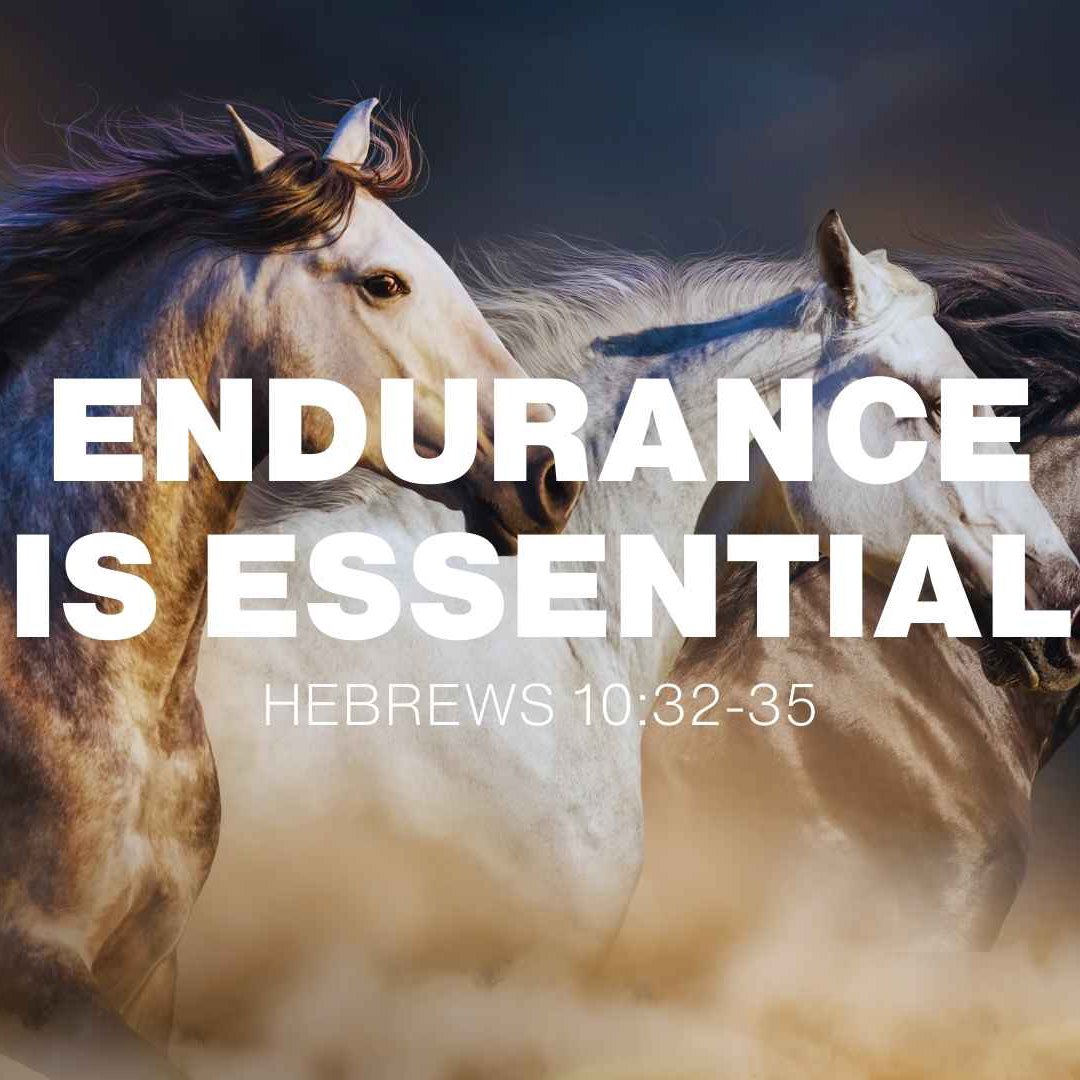 Daily Devotionals – Hebrews 10:32–35