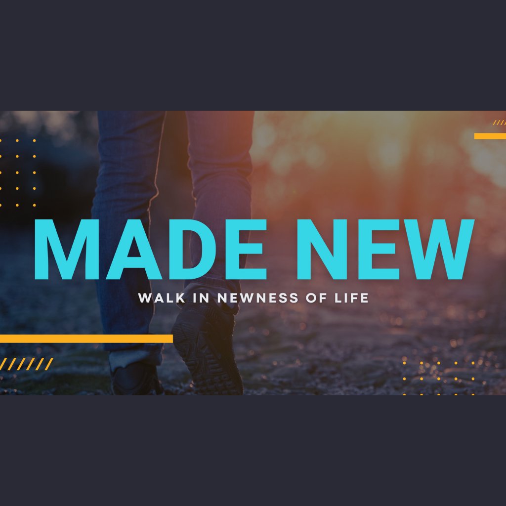 Lifepoint Goshen