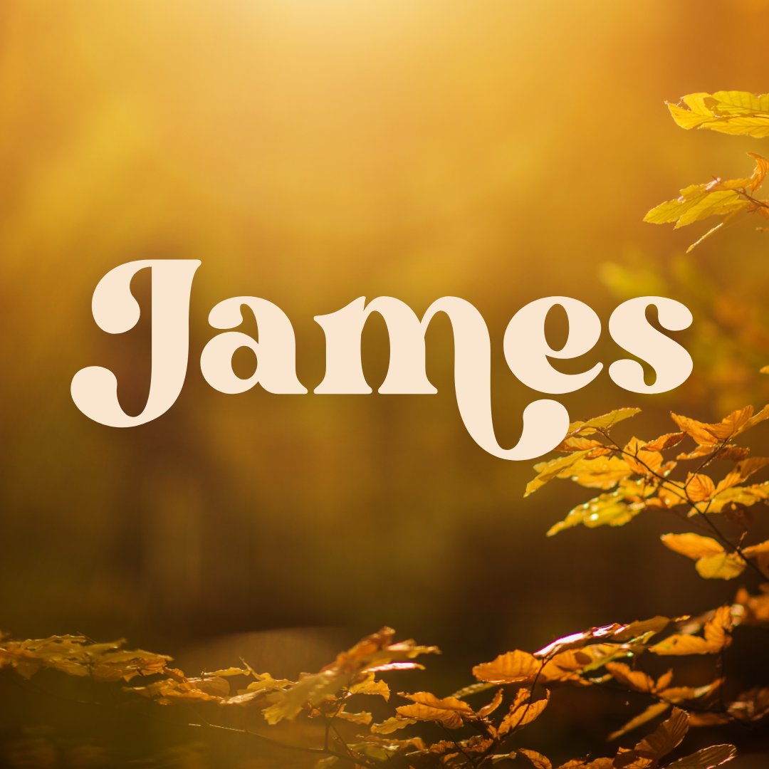 James - If The Lord Wills episode artwork