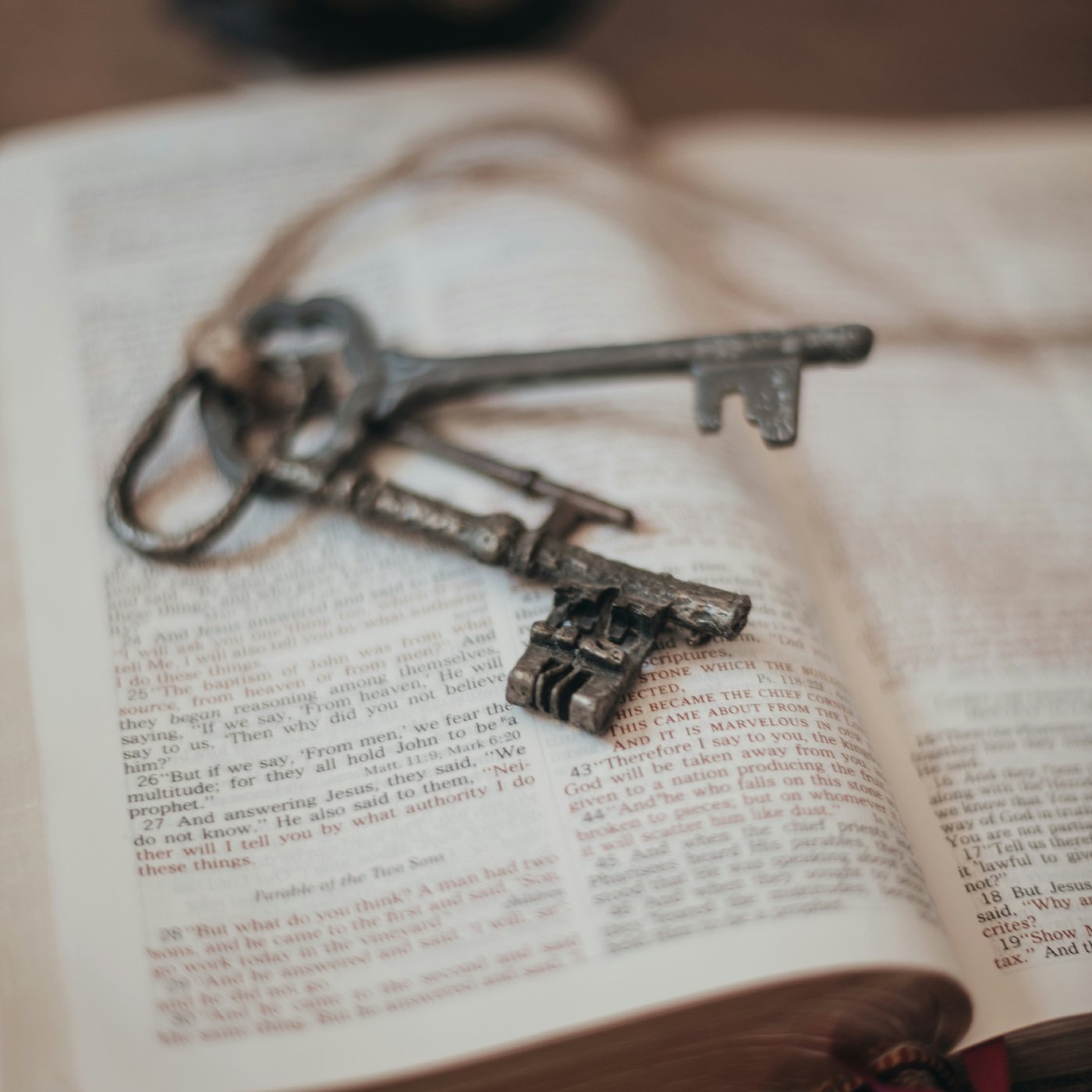 Get Free and Stay Free Get Free and Stay Free